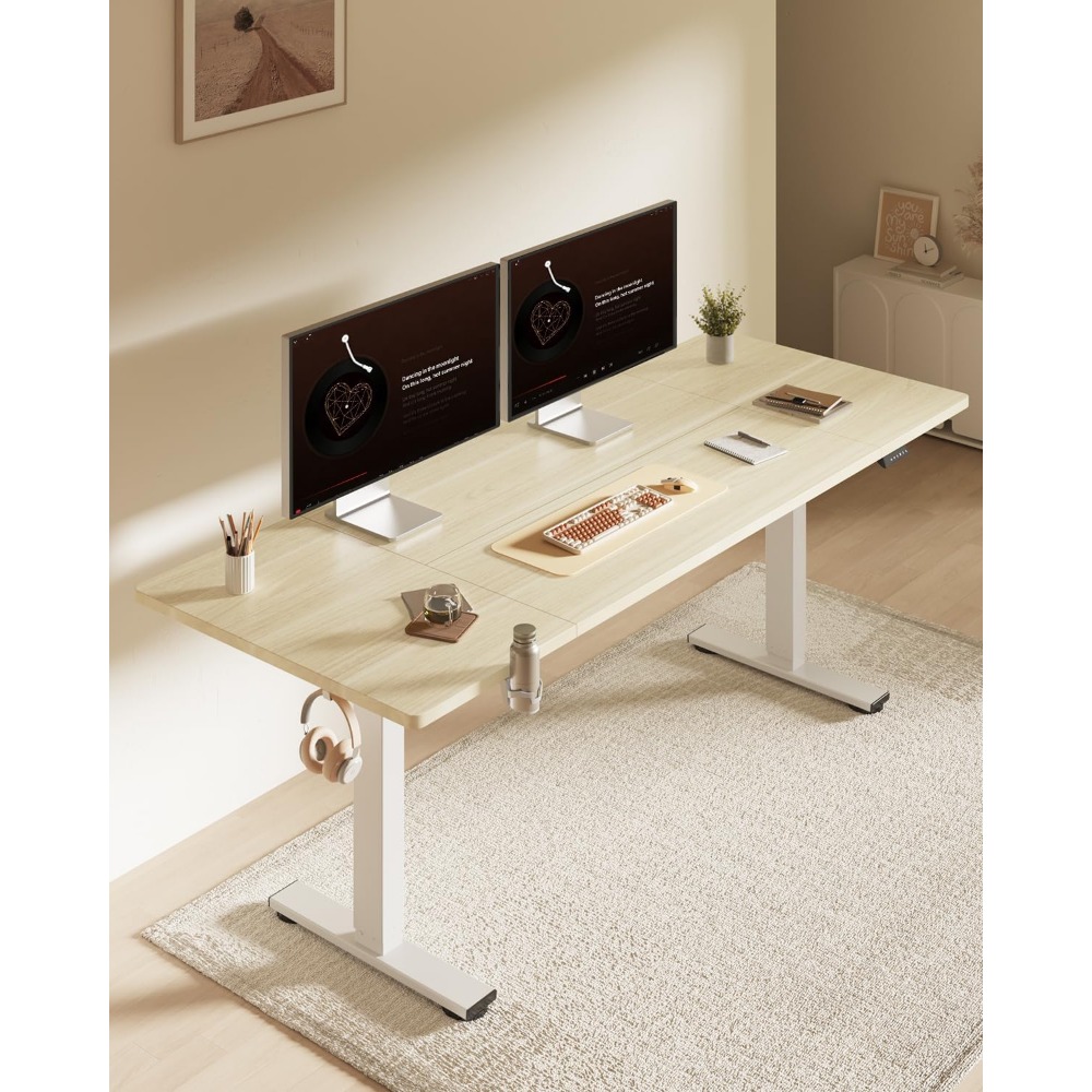 FLEXISPOT Escritorio Eléctrico - Desk Setup Workspace reseña y precio